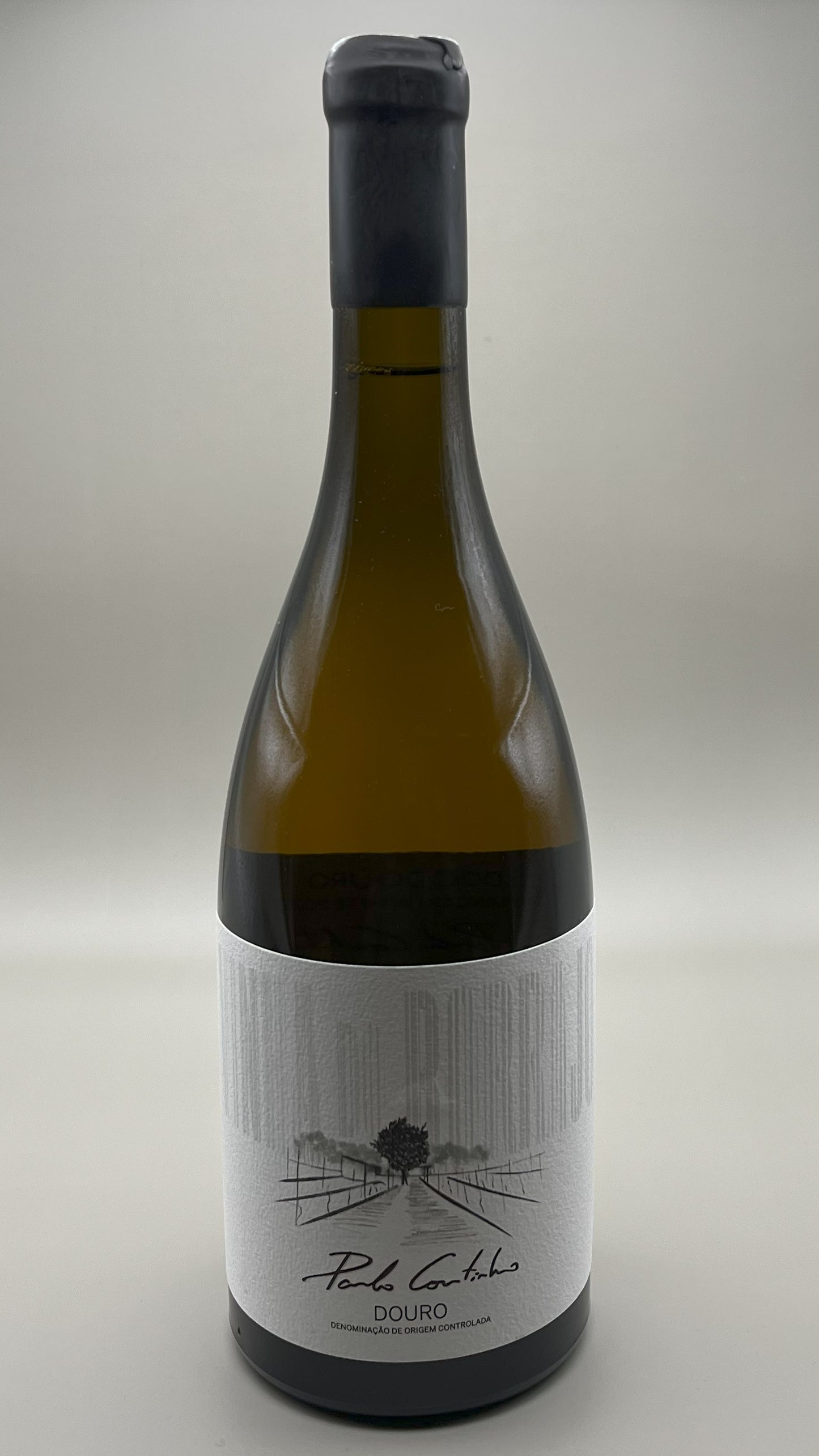 Paulo Coutinho - Vinha do Borrajo Branco 2021